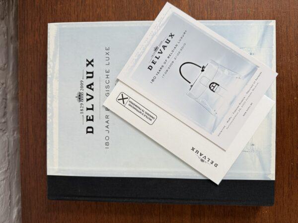DELVAUX 180 JAAR BELGISCHE LUXE - Hettie Judah - Afbeelding 4