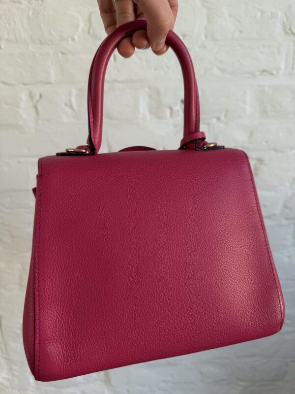 Brillant Mini Candy Rose - Afbeelding 9