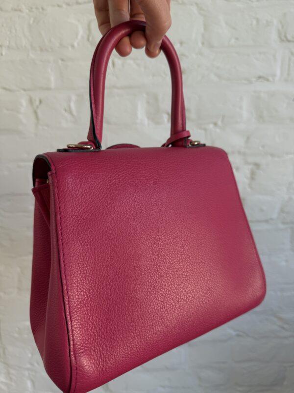 Brillant Mini Candy Rose - Afbeelding 10