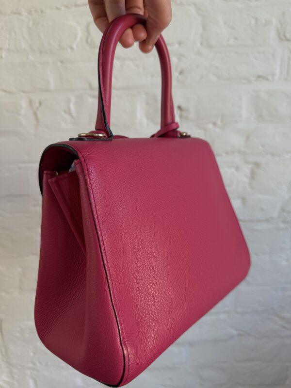 Brillant Mini Candy Rose - Afbeelding 11
