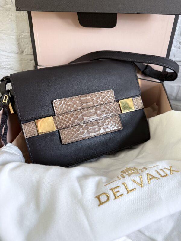 Madame PM Polo Python