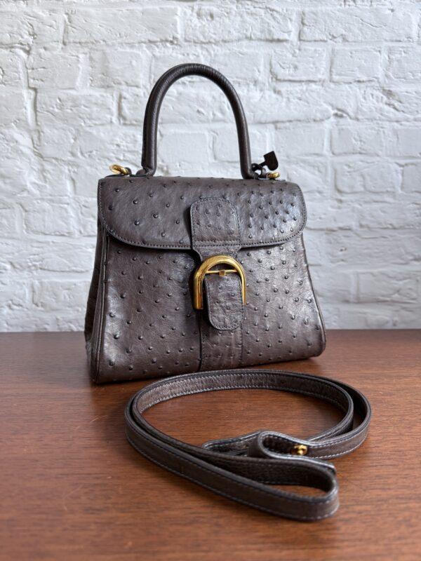 Brillant PM Autruche - Afbeelding 24