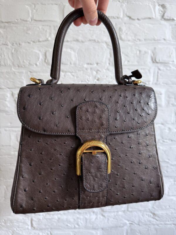 Brillant PM Autruche - Afbeelding 20