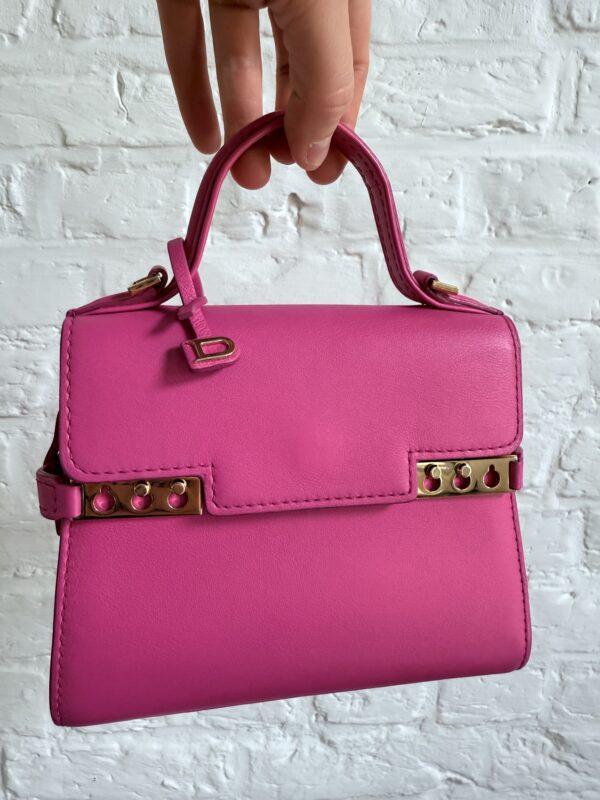 Tempête Micro Rose Indien - Afbeelding 8