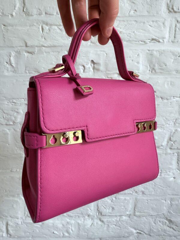 Tempête Micro Rose Indien - Afbeelding 10