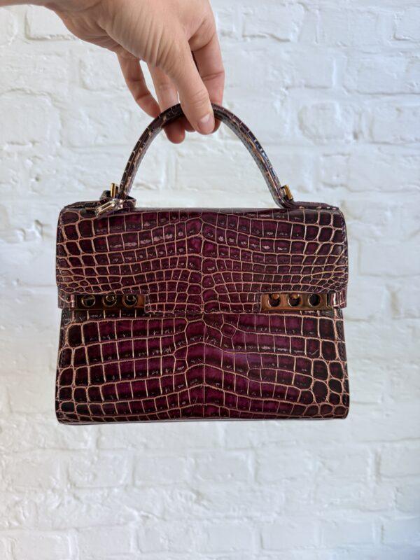 Tempête Mini Porosus Crocodile Prune - Goud - Afbeelding 5