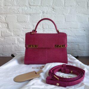 Tempête Mini Lézard Framboise